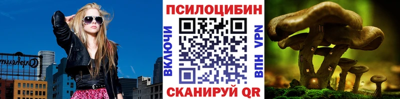 дарнет шоп  Ногинск  ОМГ ОМГ как зайти  Псилоцибиновые грибы GOLDEN TEACHER 