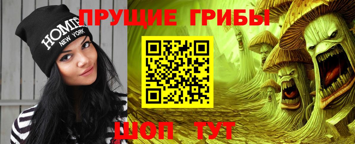 Ногинск  Галлюциногенные грибы Psilocybe  продажа наркотиков  Вход с VPN 