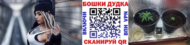 нарко площадка наркотические препараты  Ногинск  Каннабис Bruce Banner 